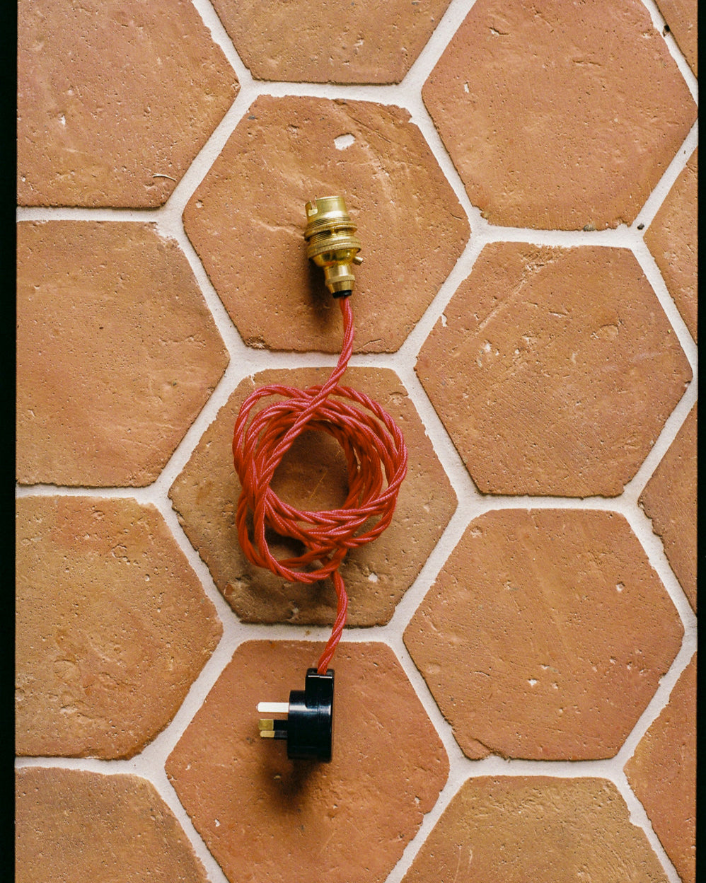 Italian Shell Wall Sconce