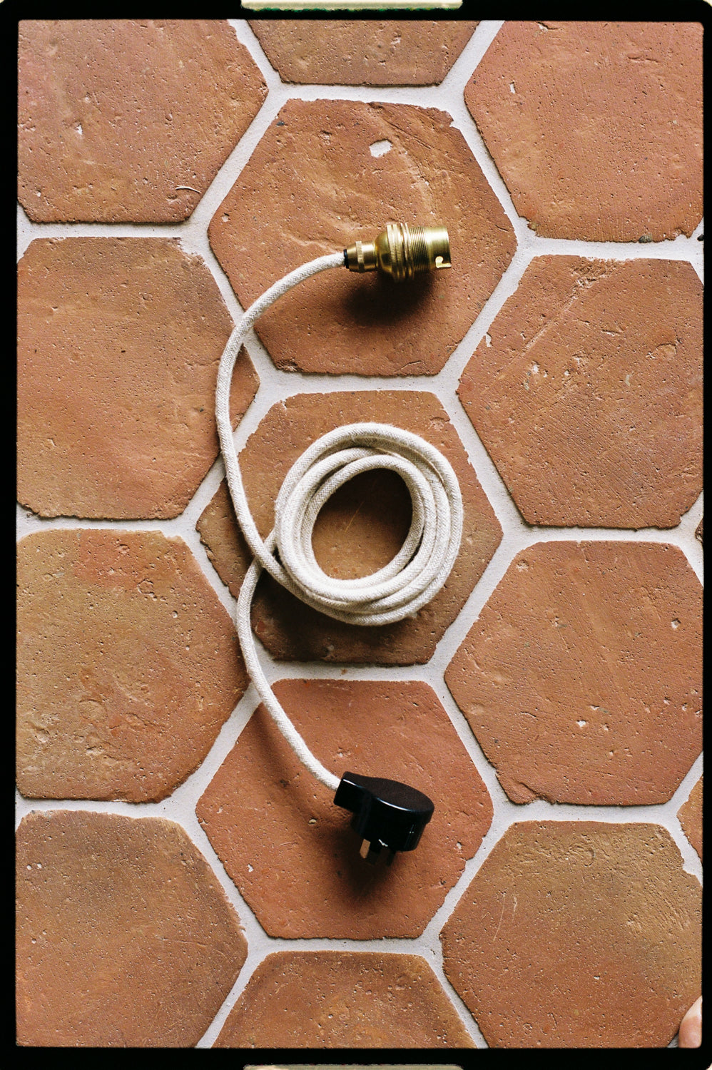 Italian Shell Wall Sconce