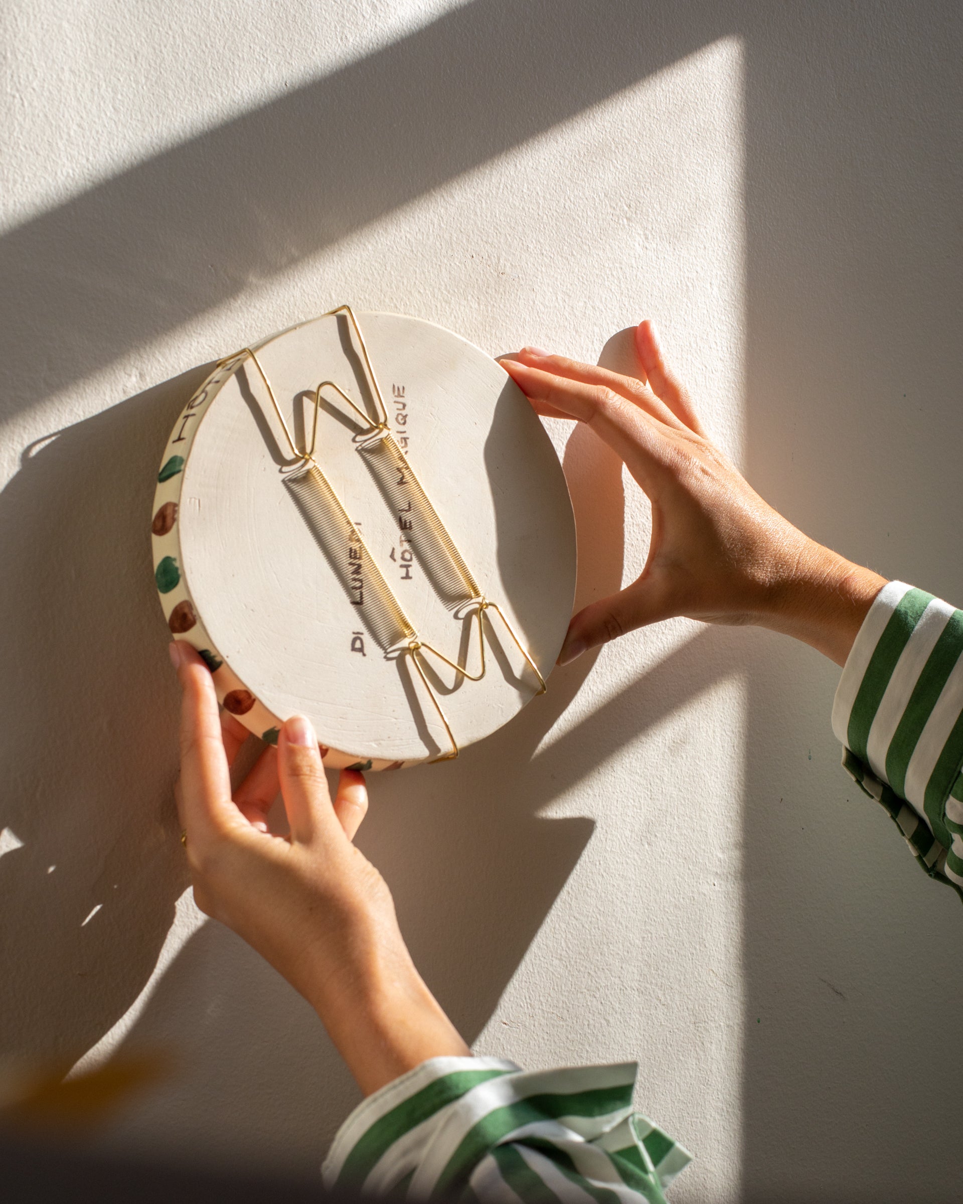 Wall Plate Hook