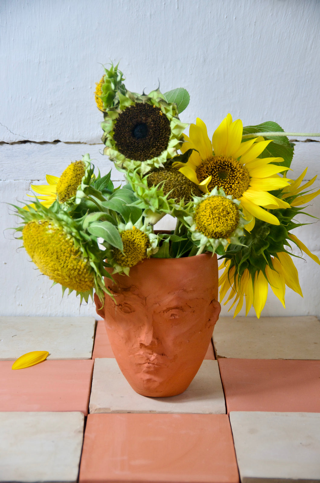Terracotta Head vase
