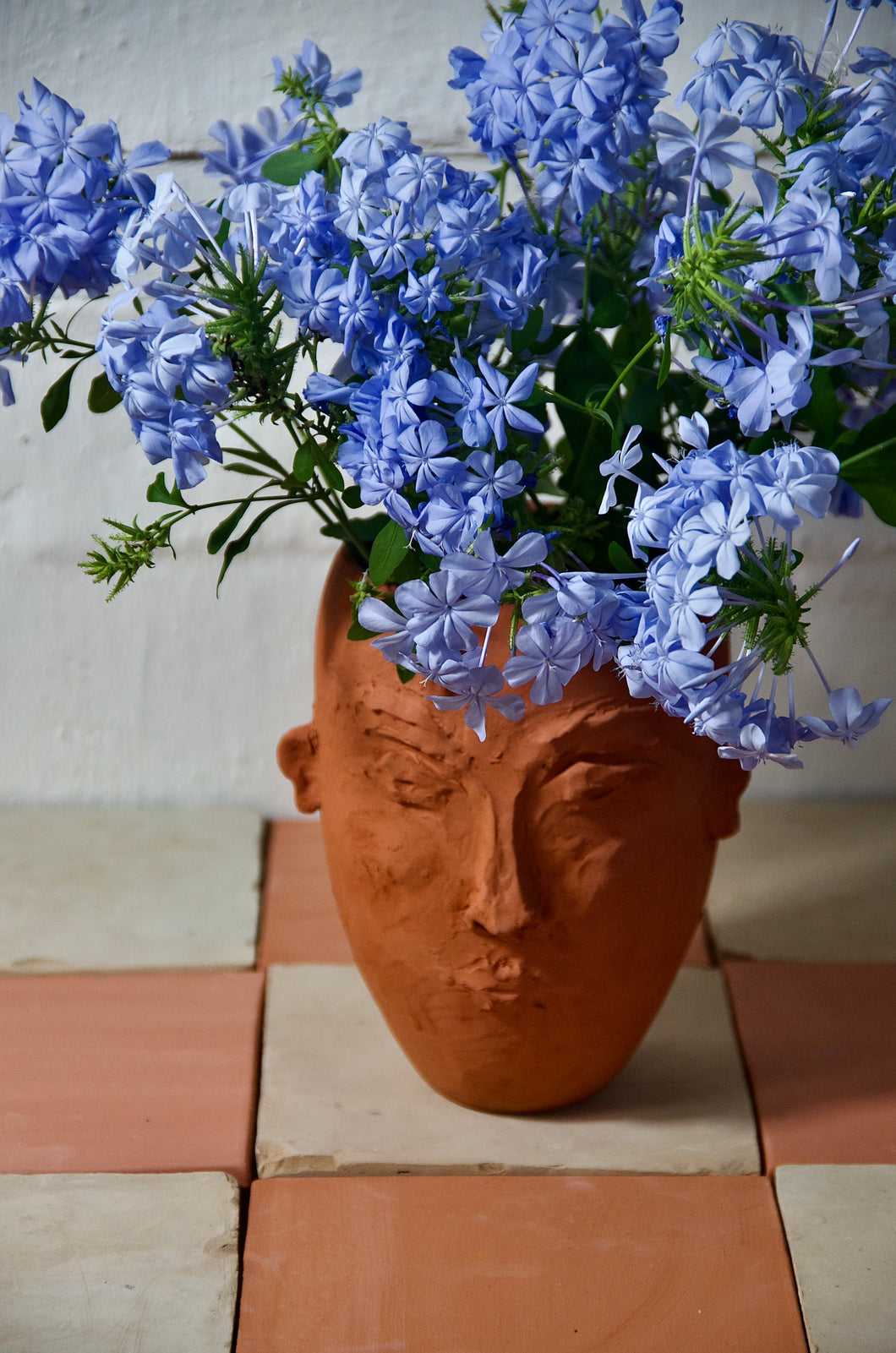Terracotta Head vase